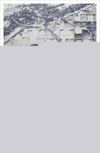 Book cover of: Contours of the Illiberal State. By: Boris Vormann