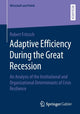 Book cover of: Adaptive Efficiency During the Great Recession. By: Robert Fritzsch