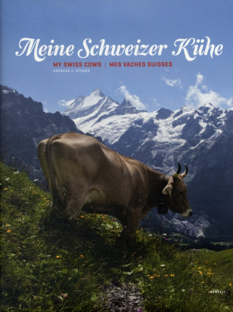 Book cover of: My Swiss Cows