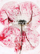 Book cover of: Brigitte Lustenberger. By: Brigitte Lustenberger