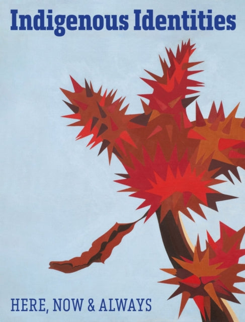 Book cover of: Indigenous Identities
