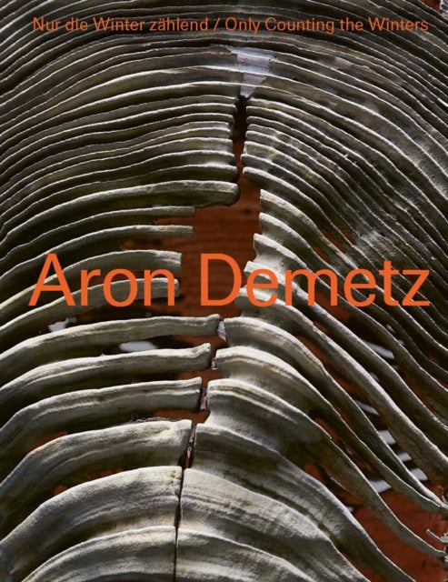 Book cover of: Aron Demetz. By: Aron Demetz