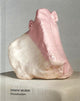Book cover of: Erwin Wurm. By: Christoph Thun-Hohenstein