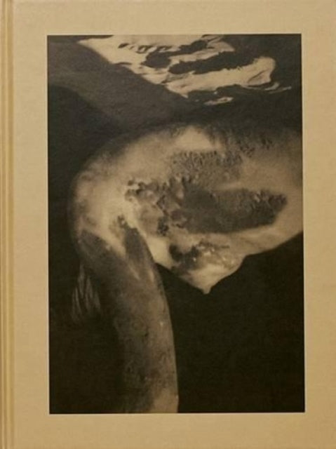 Book cover of: BEDU