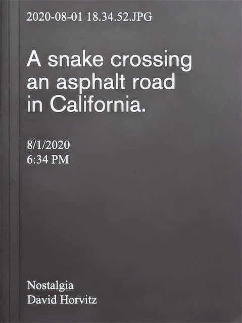 Book cover of: Nostalgia. By: David Horvitz