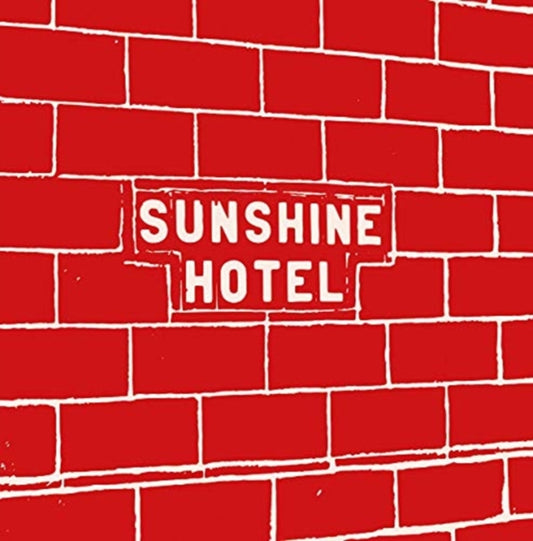 Book cover of: Mitch Epstein: Sunshine Hotel. By: Mitch Epstein