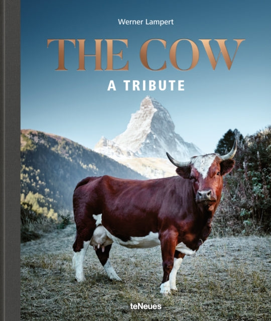 Book cover of: Cow. By: Werner Lampert