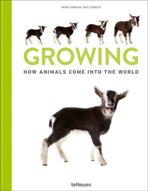 Growing, How animals come into our world 9783961713363 Marlownneke Willemsen