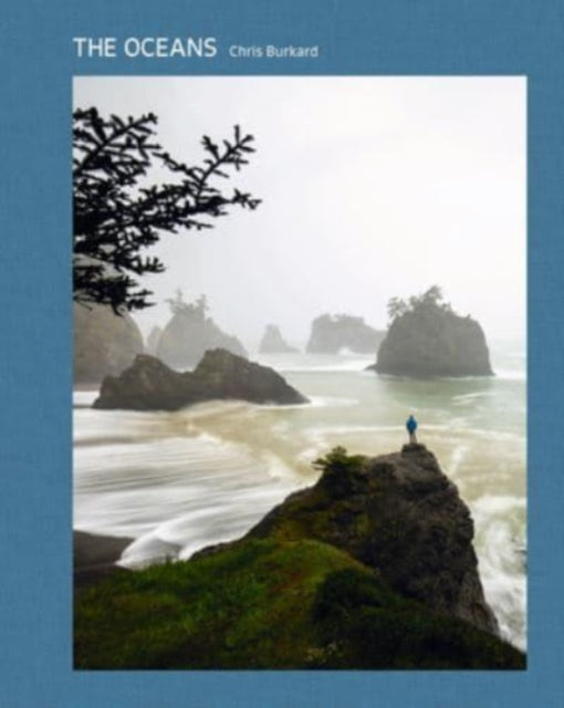 Book cover of: Oceans. By: gestalten