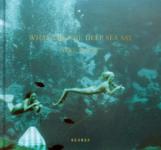 Book cover of: What Did the Deep Sea Say. By: Sara Macel