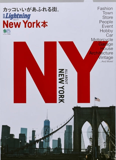 Book cover of: Lightning