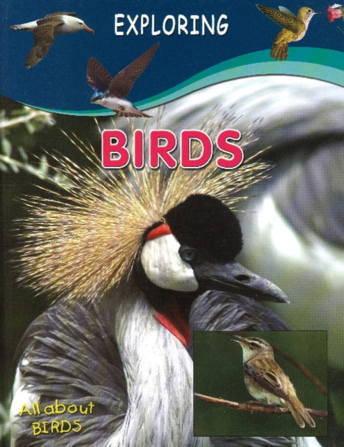 Book cover of: Birds