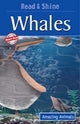 Book cover of: Whales