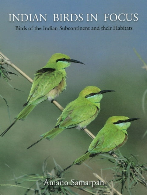 Book cover of: Indian Birds in Focus