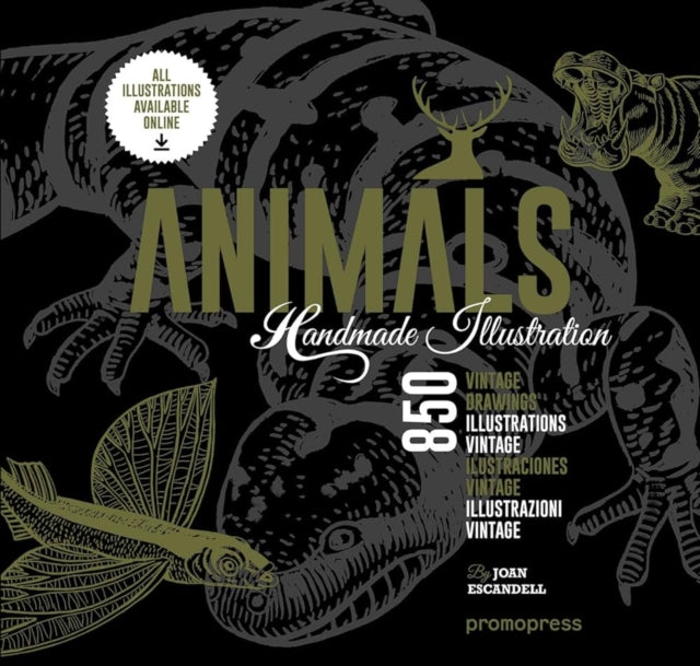 Book cover of: Animals. By: Joan Escandell