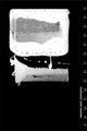 Book cover of: Frederic Amat_Zootrop. By: Estela Robles