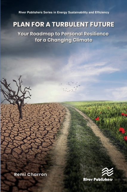 Book cover of: Plan for a Turbulent Future. By: Remi Charron