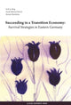 Book cover of: Succeeding in a Transition Economy. By: Erik A. Borg