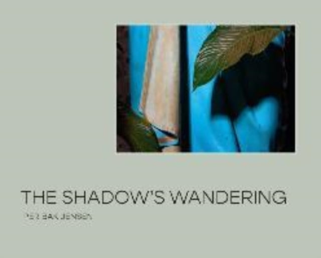 Book cover of: Shadow’s Wandering. By: Per Bak Jensen