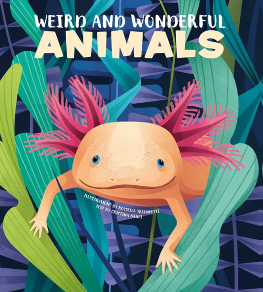 Book cover of: Weird and Wonderful Animals. By: Cristina Banfi