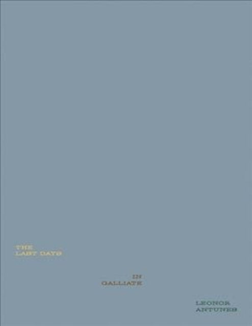 Book cover of: Leonor Antunes: The Last Days in Galliate. By: Leonor Antunes