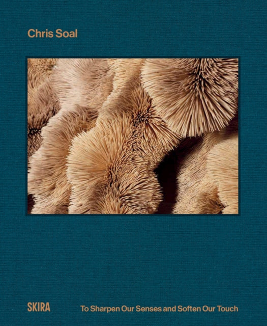 Book cover of: Chris Soal