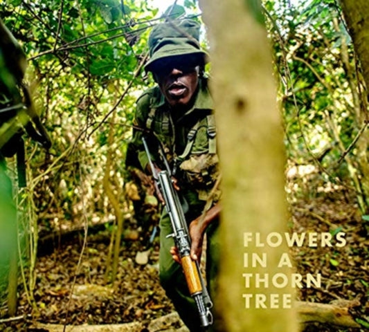 Book cover of: Steven Thackston: Flowers in a Thorn Tree. By: Steven Thackston