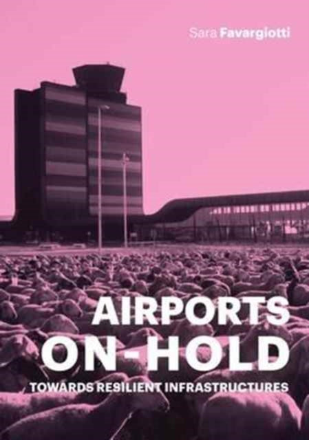 Book cover of: Airports on Hold