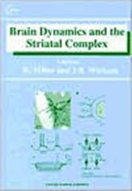 Book cover of: Brain Dynamics and the Striatal Complex