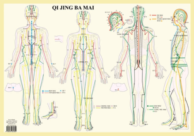 Book cover of: Qi Jing Ba Mai -- A2