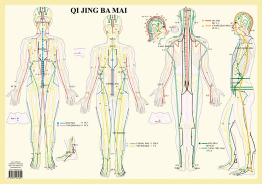 Book cover of: Qi Jing Ba Mai -- A2