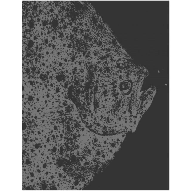 Book cover of: In the Deep Present. By: Craigie Horsfield