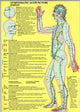 Book cover of: Symptomatic Acupuncture Points -- A4