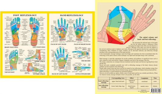Book cover of: Hand & Foot Reflexology -- A4