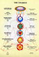 Book cover of: Chakras -- A4