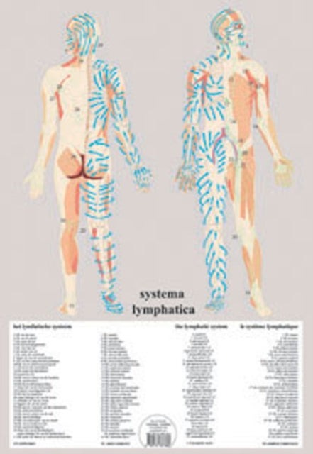 Book cover of: Systema Lymphatica -- A2