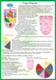Book cover of: Tongue Diagnosis -- A4