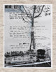 Book cover of: June. By: Jasper Krabbe Annemarieke van Drimmelen