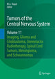 Book cover of: Tumors of the Central Nervous System, Volume 11. By: M. A. Hayat