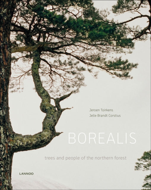 Book cover of: Borealis. By: Jeroen Toirkens