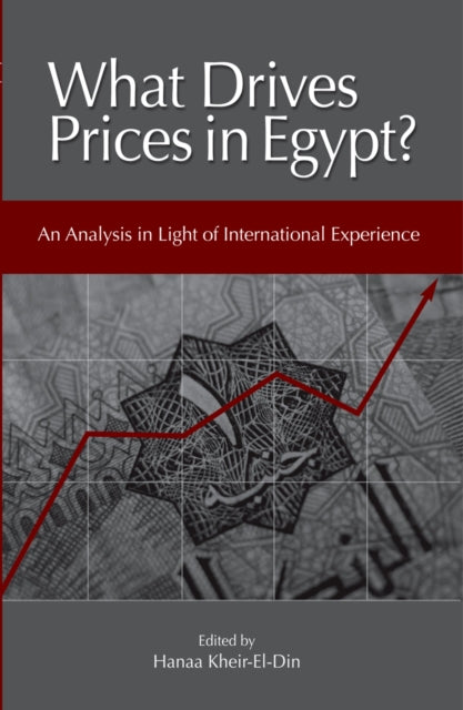 Book cover of: What Drives Prices in Egypt?