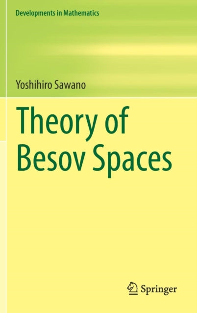 Book cover of: Theory of Besov Spaces. By: Yoshihiro Sawano