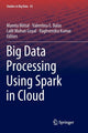 Book cover of: Big Data Processing Using Spark in Cloud. By: Mamta Mittal