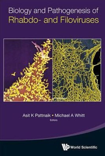 Book cover of: Biology And Pathogenesis Of Rhabdo- And Filoviruses. By: Asit Kumar Pattnaik