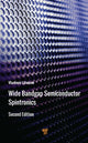 Book cover of: Wide Bandgap Semiconductor Spintronics. By: Vladimir Litvinov