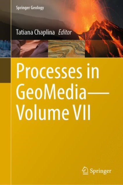 Book cover of: Processes in GeoMedia—Volume VII. By: Tatiana Chaplina