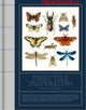 Book cover of: Insectile Inspiration: Insects in Art and Illustration. By: Victionary