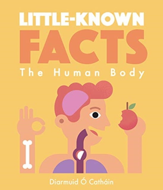 Book cover of: Little-known Facts: The Human Body. By: Diarmuid Ó Catháin