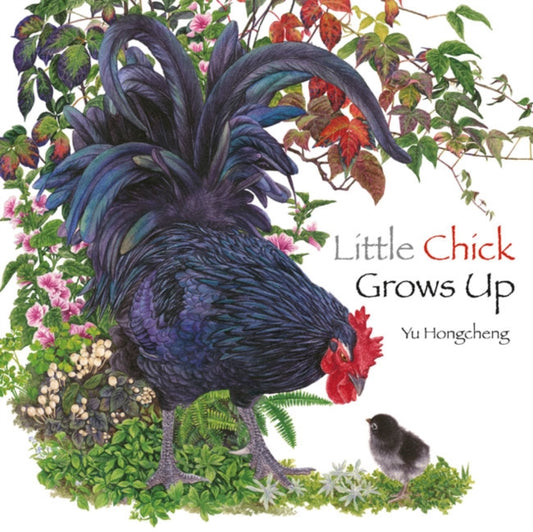 Book cover of: Little Chick Grows Up. By: Yu Hongcheng