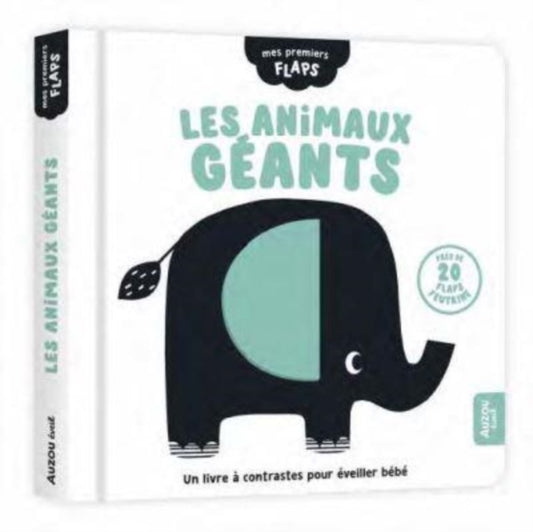 Book cover of: Big Animals
